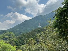 -深圳仙湖植物园