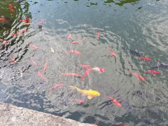 -宁波市保国寺古建筑博物馆