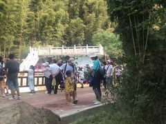 -梅岭月亮湾山体公园