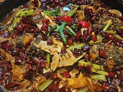 -老板恋上鱼(恒隆广场店)