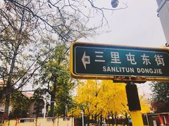 -三里屯东五街银杏大道