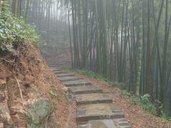 -莫干山风景区