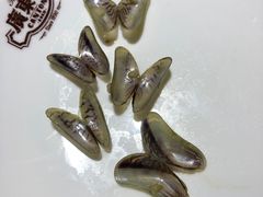-广东道至正餐厅(区庄店)