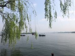 -西湖外事游船(花港观鱼码头)