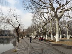 -泰州凤城河风景区-泰山公园