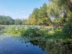 -白塘生态植物园