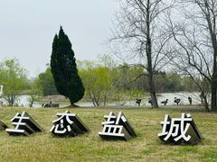 -盐城丹顶鹤湿地生态旅游区