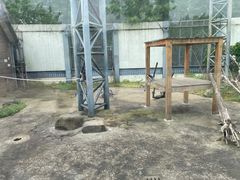 -上方山森林动物世界