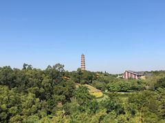 -广州莲花山旅游区