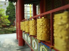 -骏途旅游