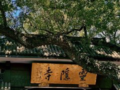 -灵隐飞来峰景区
