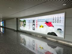 -张家界荷花国际机场