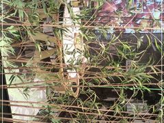 -茅庐毛血旺(临沂泰盛广场店)