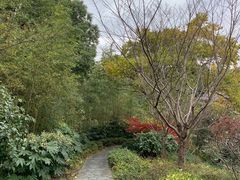 -西郊宾馆·1921餐厅