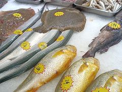 -渔码头食府(蓬莱阁店)