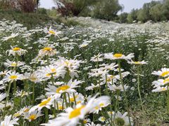 -汉长安城未央宫国家考古遗址公园