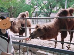-广东茂名森林公园