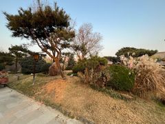 -诗经里