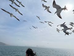 -海驴岛(荣成市)