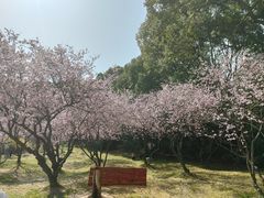 -无锡梅园公园