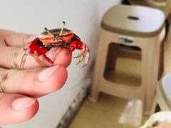 -奉贤海滩