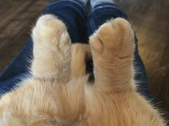 -农工商超市(金沙江路店)