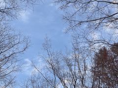 -广富林郊野公园