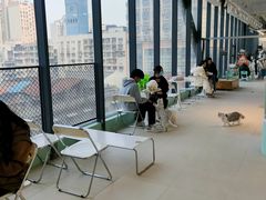 -怪兽屋·羊驼·猫咖·狗咖(俊华广场店)