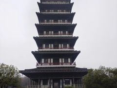 -宜兴龙背山森林公园