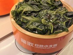 -龍歌自助小火锅(市北台东利群店)