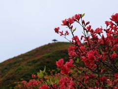 -大围山国家森林公园