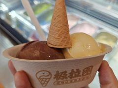 -极拉图·现制冰淇淋(大卫城店)