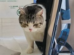 -宠福鑫动物医院(立水桥分院)