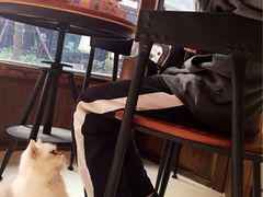 -Oh My Dog宠物沙龙(伊珊娜皮毛护理店)