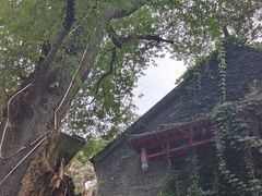 -北山公园