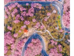-鼓岭旅游度假区