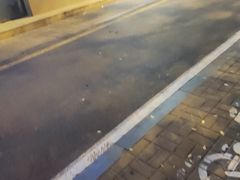-阿凡达电玩嘉年华(柳巷店)