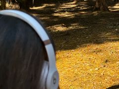 -四明山国家森林公园