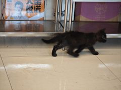 -行事老火锅(协信TOWN城店)