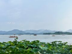 -湖畔居茶楼(湖滨店)