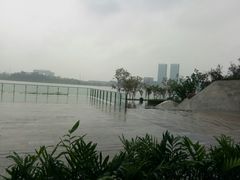 -星巴克(成都科学城店)