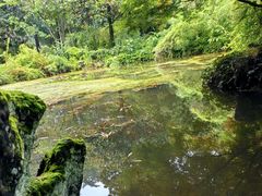 -昆明植物园