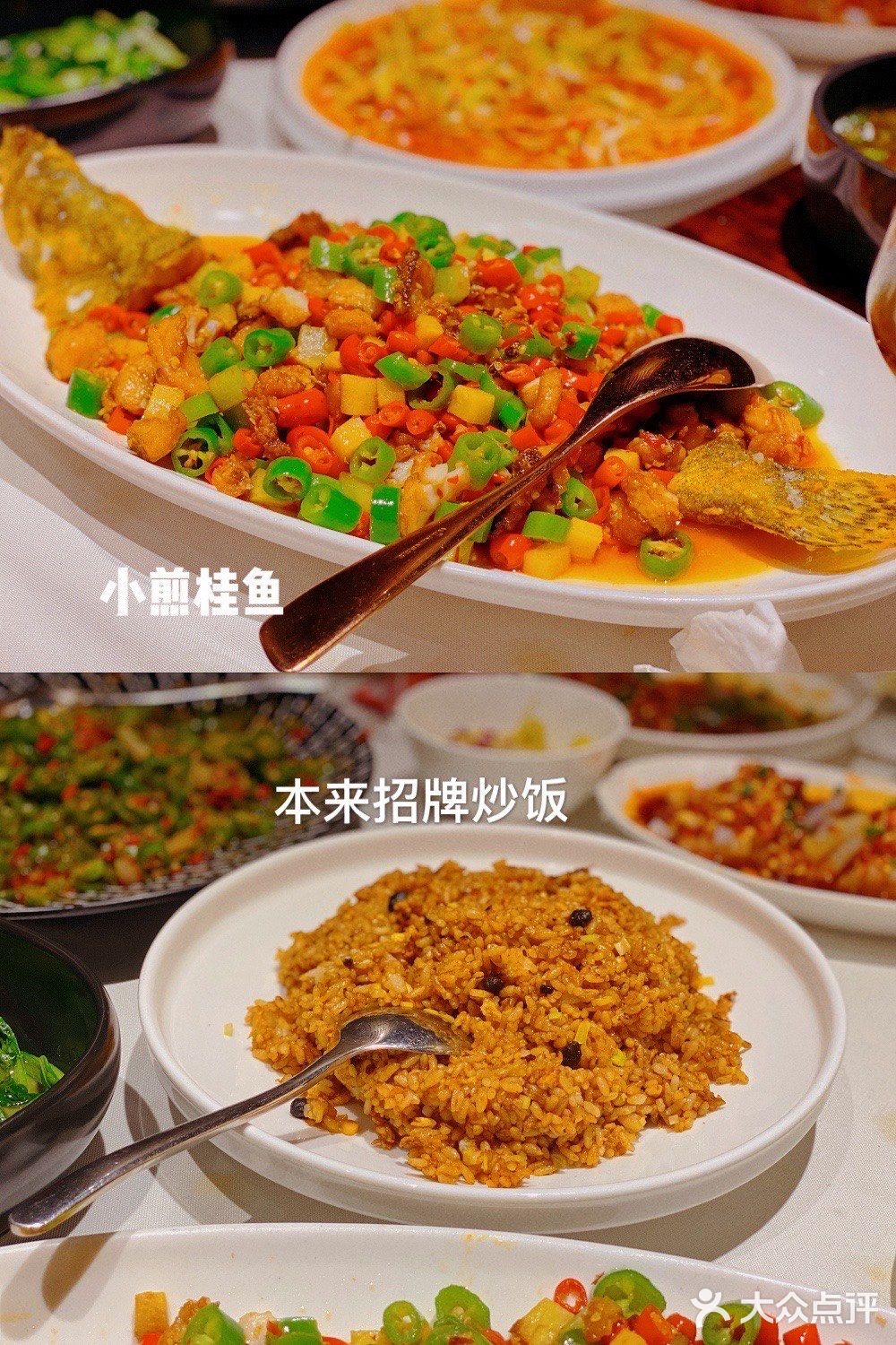 南京探店🔥超人气正宗川菜来南京啦🌶️