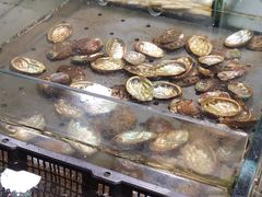 -旺顺阁海鲜广场(亚运村店)