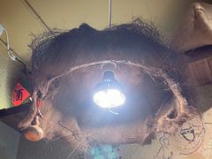 -泥糊破店小酒馆·团建聚餐(南京西路店)