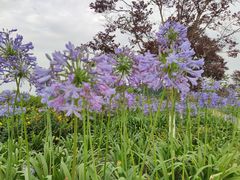 -夏河溪乡野公园