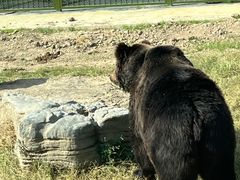 -上海野生动物园