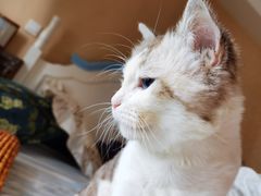 -圣宠动物医院·犬猫专科·影像中心·外科中心