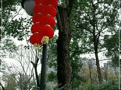 -塔子山公园