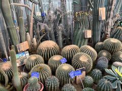 -国家植物园南园